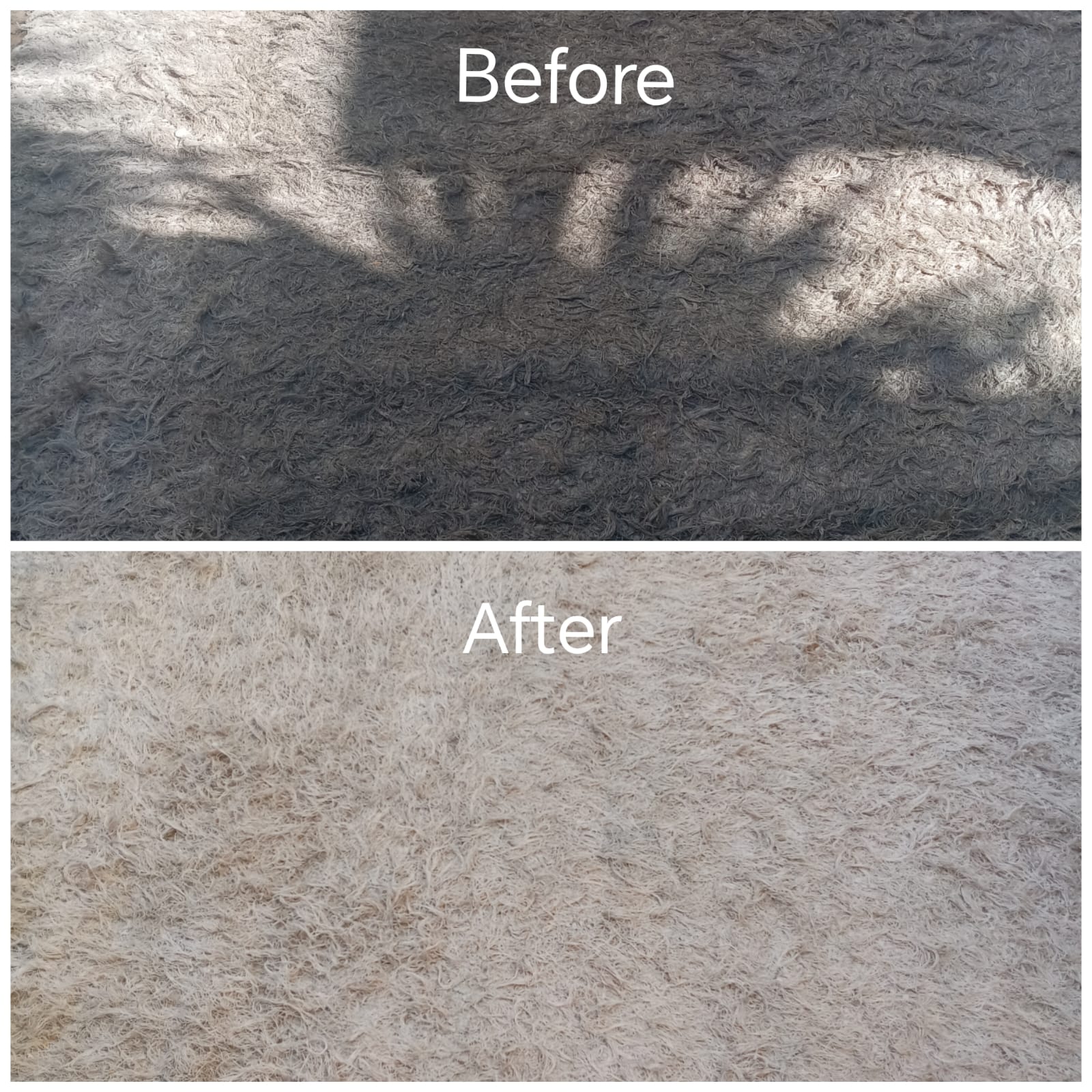 Fitted Carpet Deep Clean